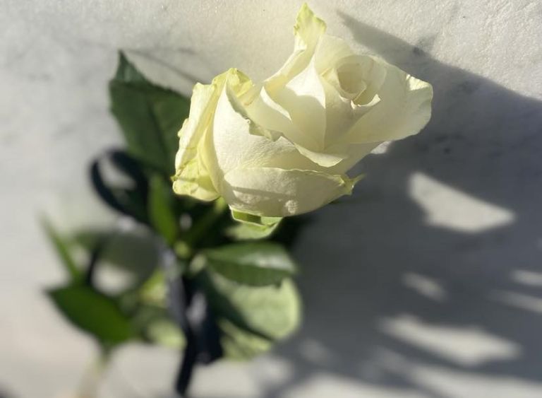 Szabó Tibor tanár úr búcsúztatója